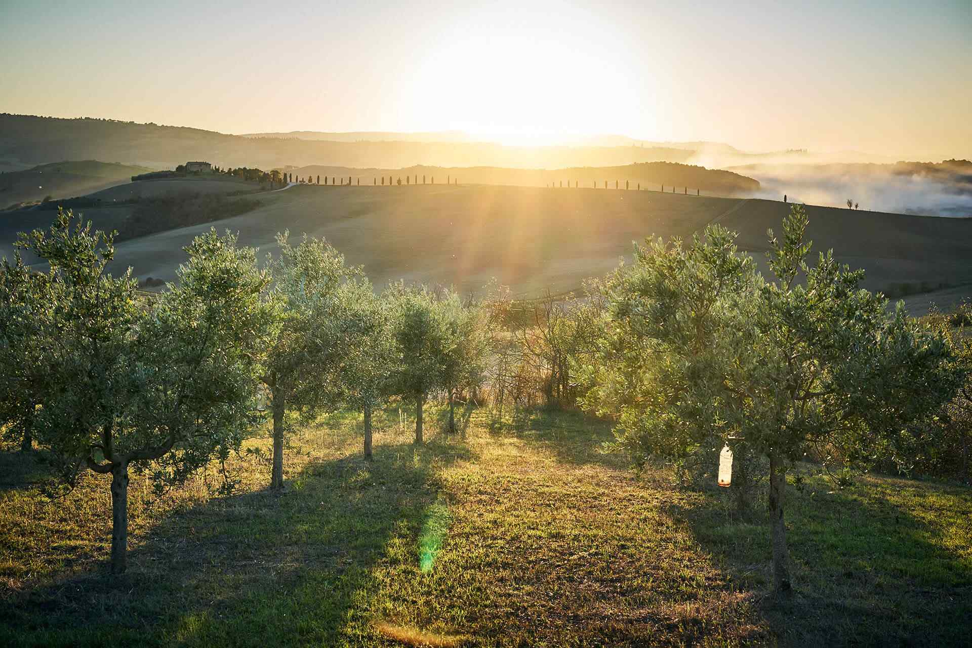 portfolio_04 portfolio_04