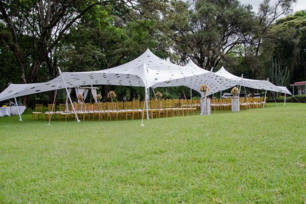 Cheese Stretch Tent