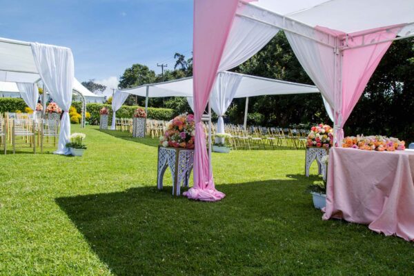 Canopy Tent