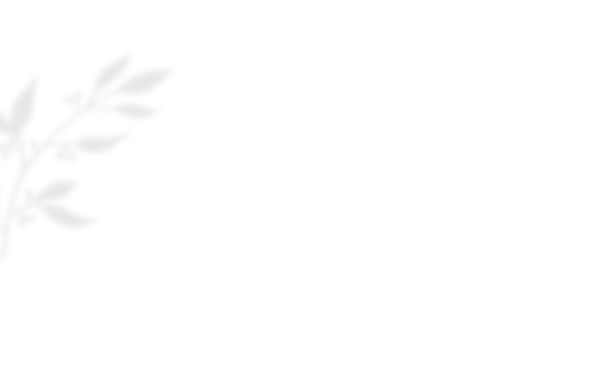 shadow_leaves_03 https://wayfarerevents.co.ke/wp-content/uploads/2020/10/shadow_leaves_03.png