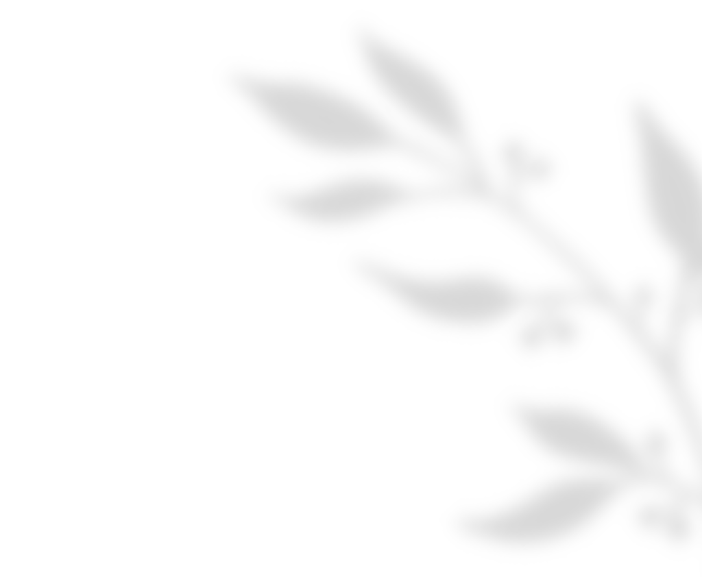 shadow_leaves_01 https://wayfarerevents.co.ke/wp-content/uploads/2020/11/shadow_leaves_01.png