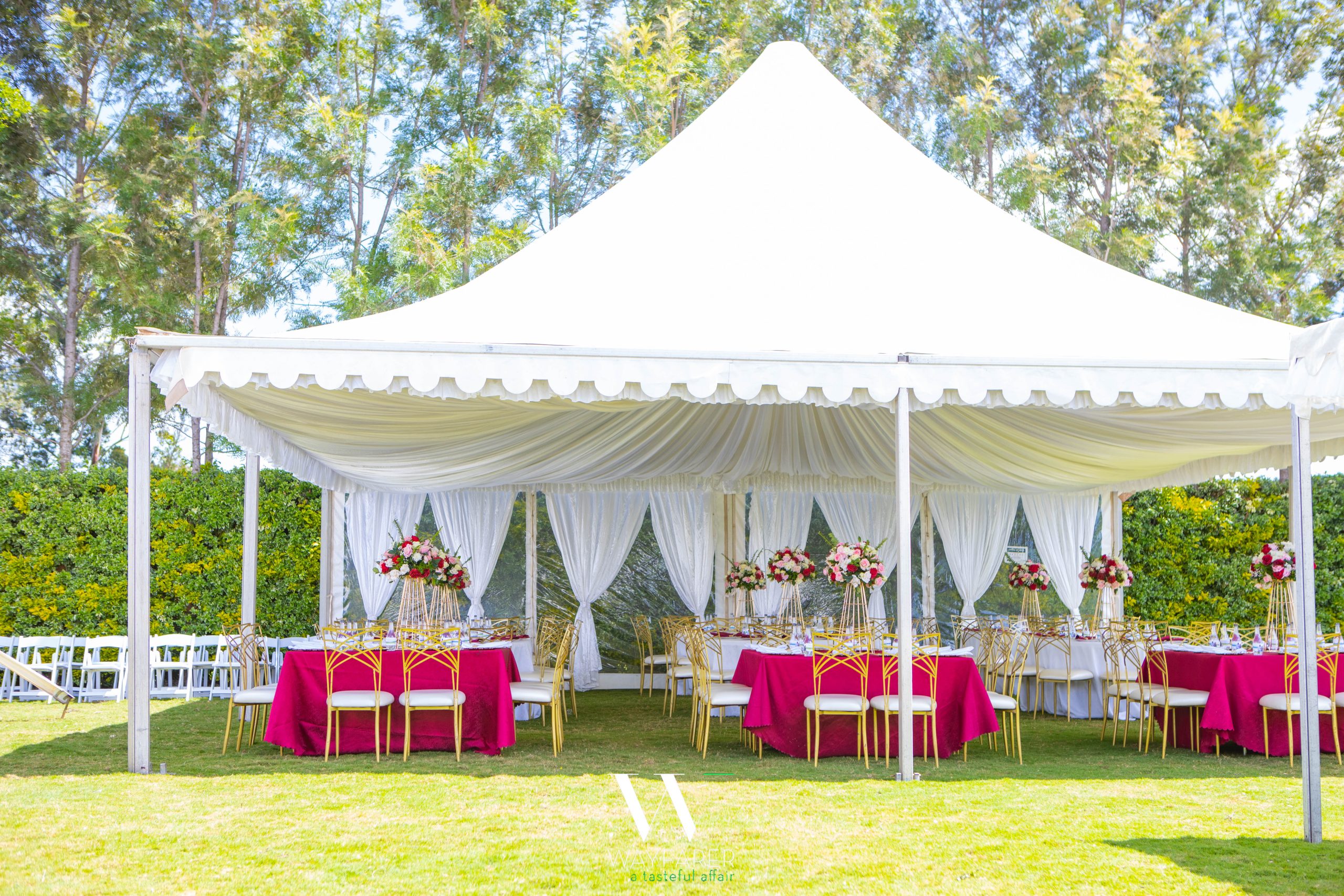 IMG_0987 - Copy IMG_0987 - Copy