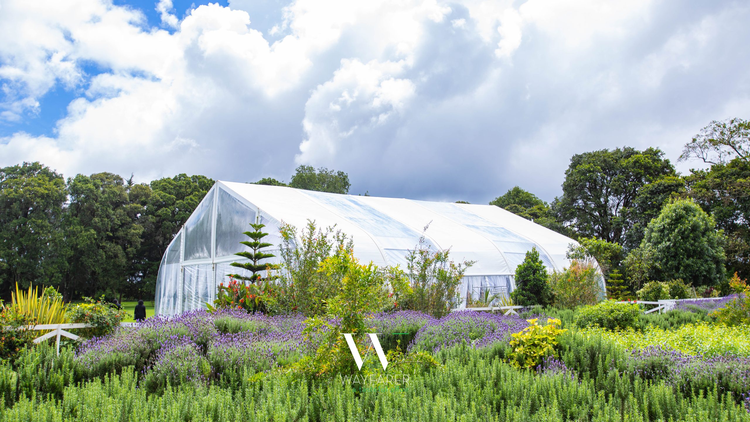 WFE_9986 https://wayfarerevents.co.ke/wp-content/uploads/2025/07/WFE_9986-scaled.jpg